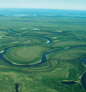 Birch Creek, Yukon